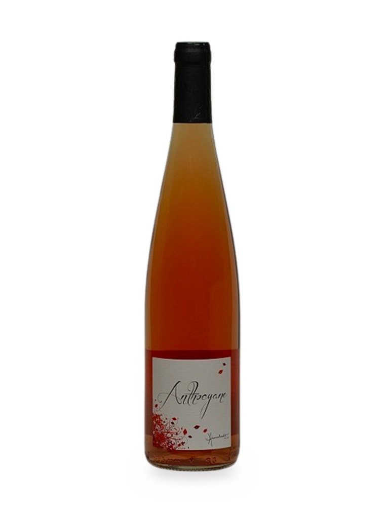 Anthocyane rosé